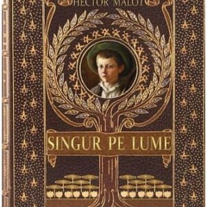 Singur pe lume